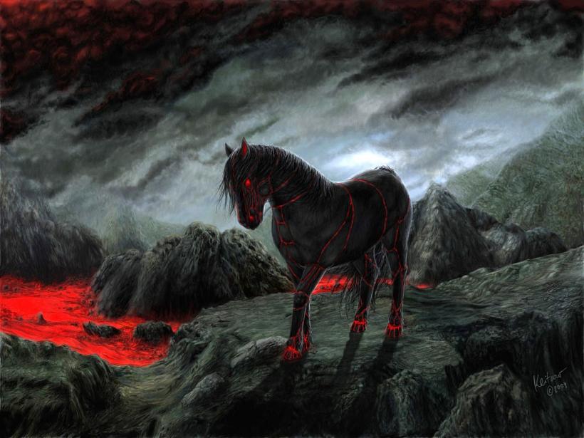 black-horse.jpg